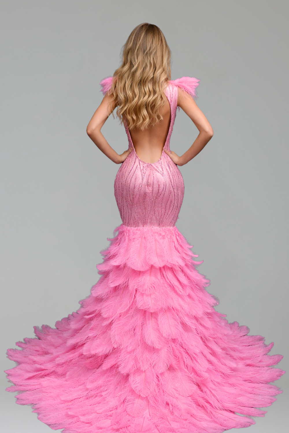 Feathered Illusion Mermaid Evening Dress - LAROSABRIDE