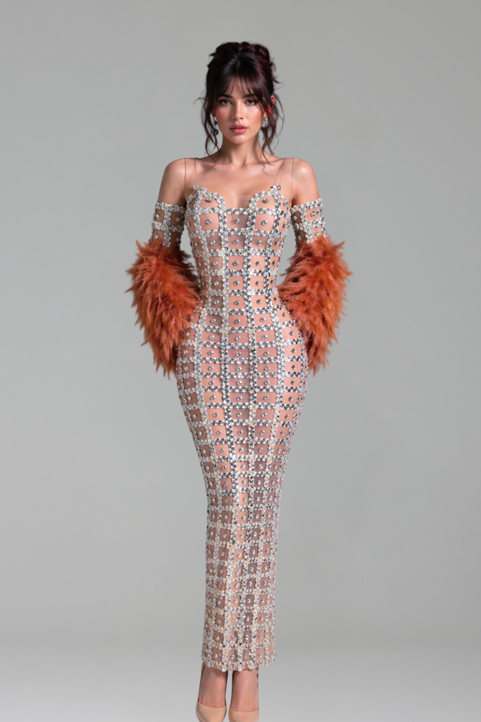 Sheer Crystal Grid Feather Sleeve Gown