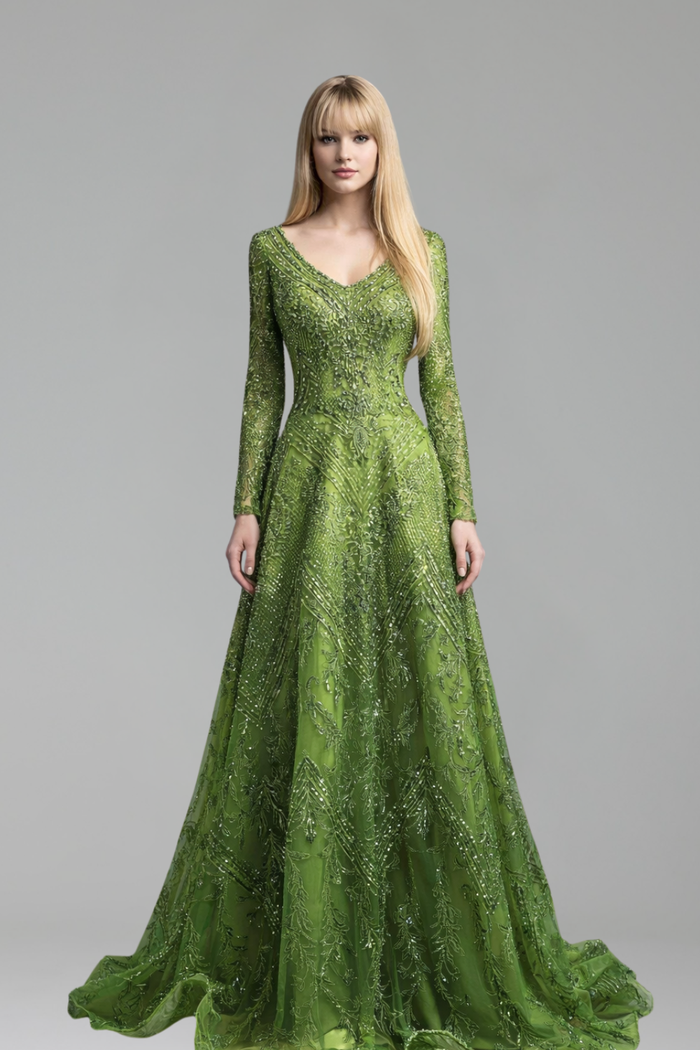 Embroidered V-Neck A-Line Dress